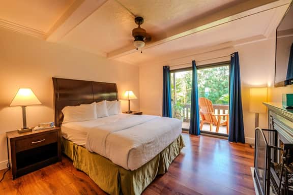 Toucans Retreat - Image 3