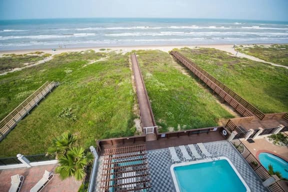 Dolphin Paradise - Image 1